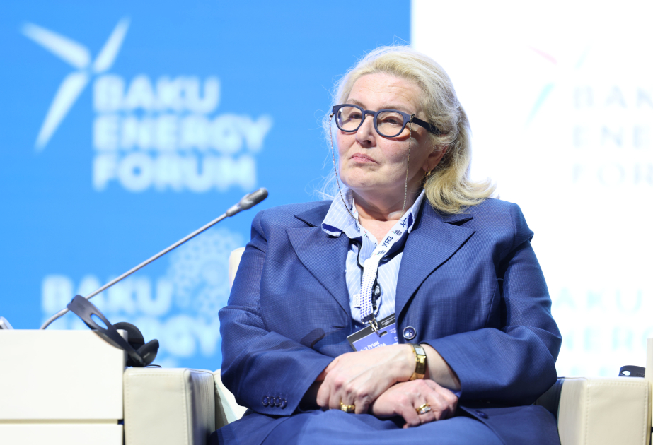 Gürcüstanlı nazir müavini: Region ölkələrinin enerji əməkdaşlığı yeni mərhələyə keçir