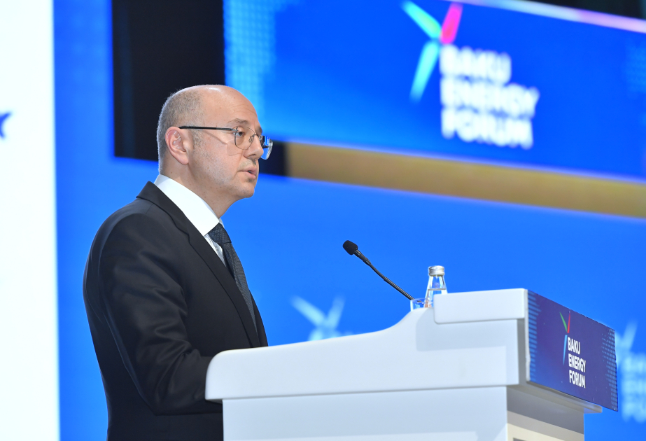Nazir: Bərpaolunan enerji payının 2035-ci ilədək 43 faizə çatdırılması məqsədilə şəbəkə tədqiqatları yekunlaşmaq üzrədir