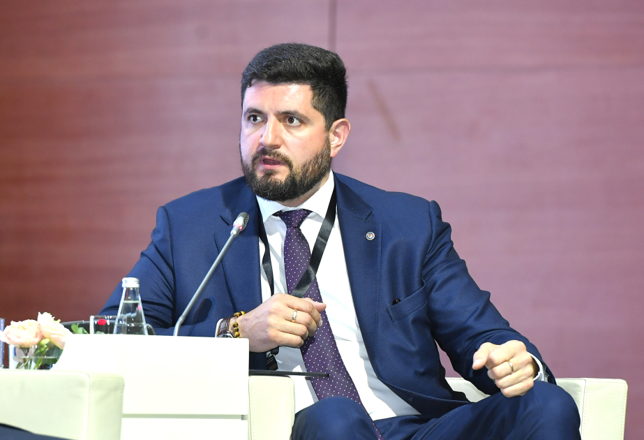 Moldovalı nazir: Bərpaolunan enerji mənbələrinin inkişafı enerji strategiyasının əsas istiqamətlərindən birinə çevrilib