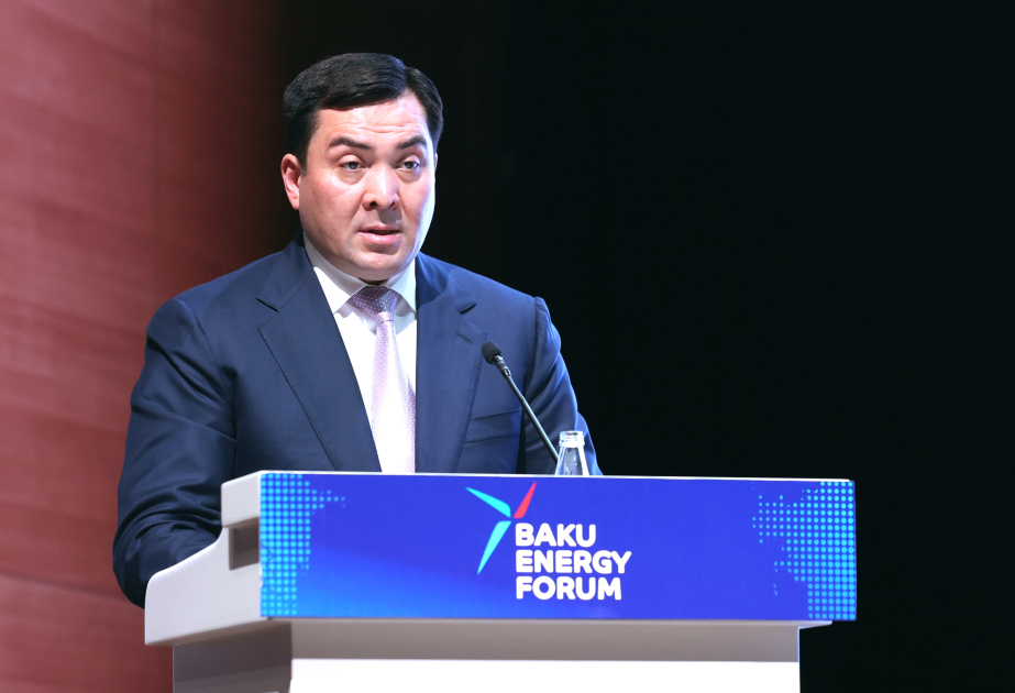 Qazaxıstan 2030-cu ilədək enerji istehsalında bərpaolunan enerji mənbələrinin payını 30 faizə çatdıra bilər
