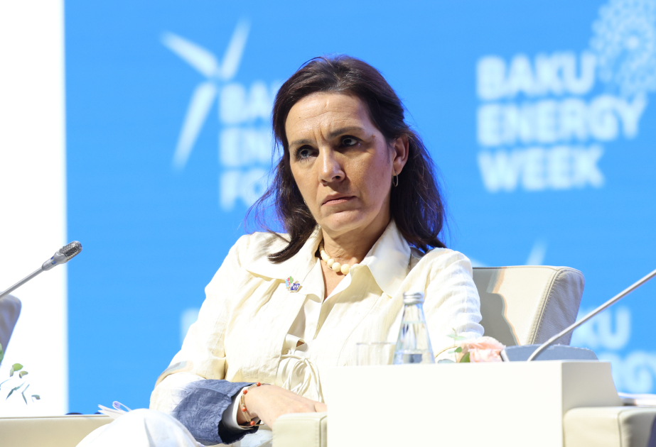 Avropa İttifaqı: Enerji mənbələrinin şaxələndirilməsini prioritet hesab edirik