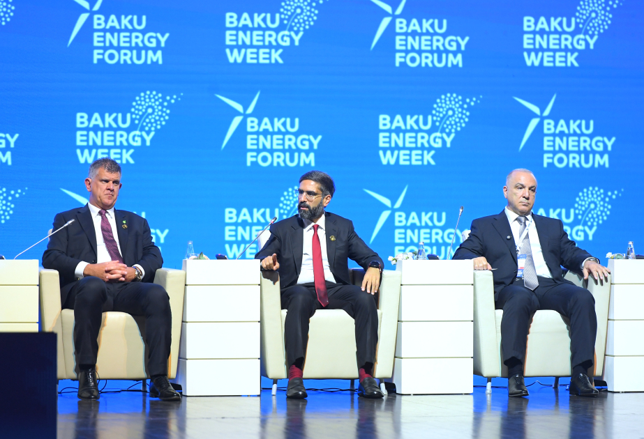 SOCAR-ın prezidenti: Azərbaycan qazı regionun ən etibarlı enerji mənbələrindən biridir VİDEO