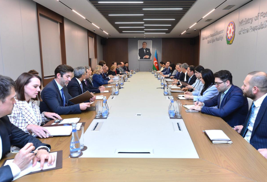 Azerbaijan, U.S. discuss implementation of TRIPP project
