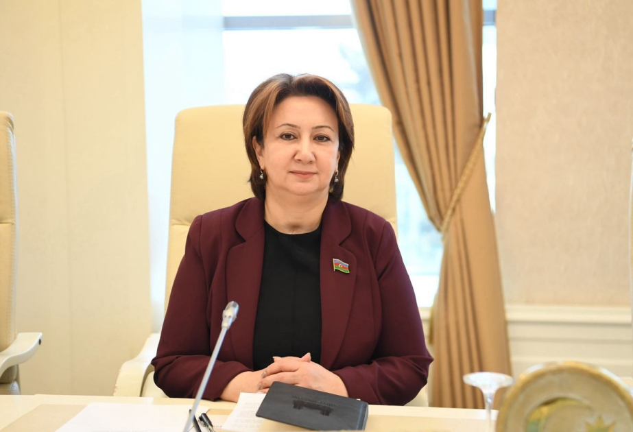 Avropanın enerji təhlükəsizliyi və Azərbaycanın dəyişməyən strateji rolu -  ŞƏRH