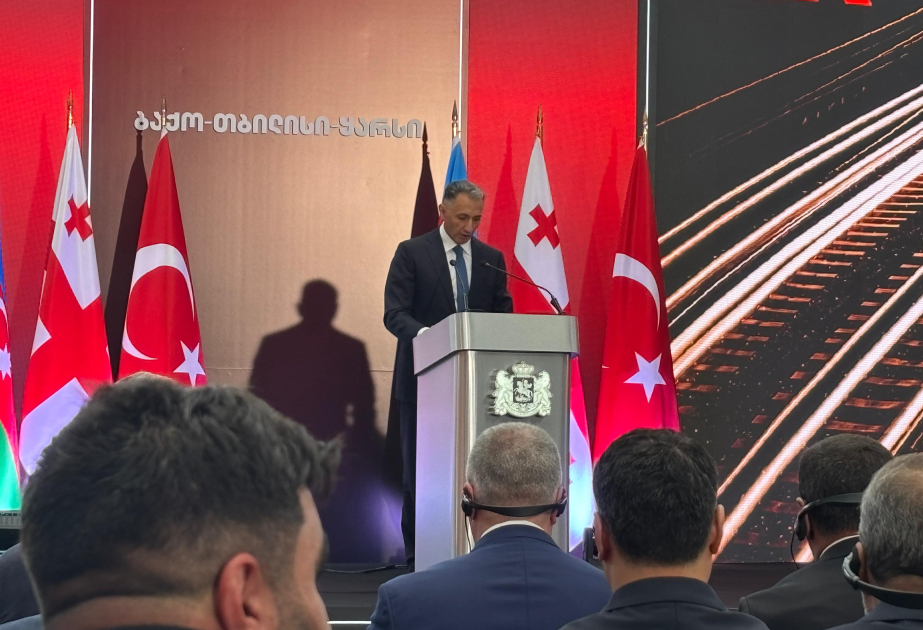 Rəşad Nəbiyev: Bakı-Tbilisi-Qars Xəzər və Qara dənizlər arasında ən rəqabətqabiliyyətli tranzit marşrutudur