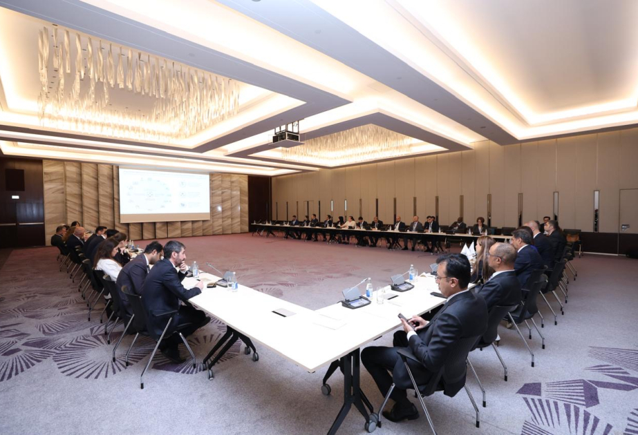 CECECO: Təmiz enerji sahəsində innovasiyaların genişləndirilməsi maliyyə resurslarına çıxış və güclü regional tərəfdaşlıq tələb edir