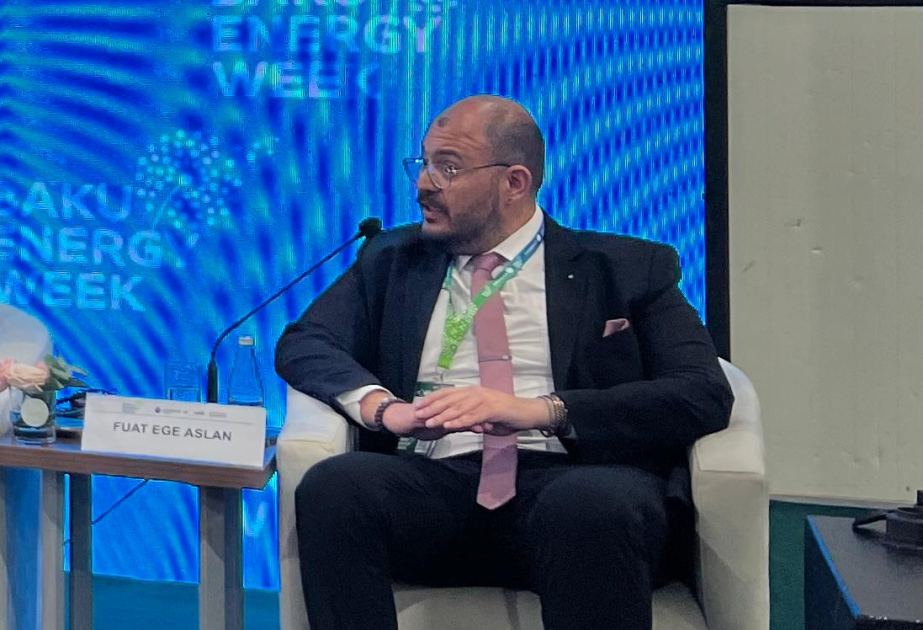 “Europower Enerji”: Elektrik şəbəkəsi infrastrukturunun inkişafı bərpaolunan enerji mənbələrinin inteqrasiyasında mühüm rol oynayır