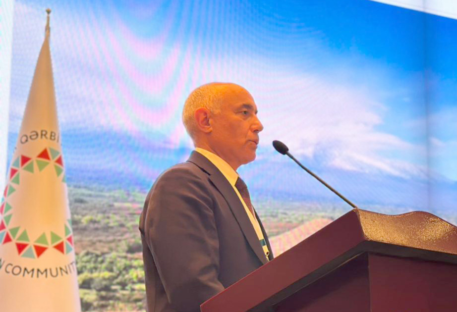Musa Mərcanlı: İRS jurnalı 22 il ərzində Qərbi Azərbaycanla bağlı 150-dən çox material dərc edib