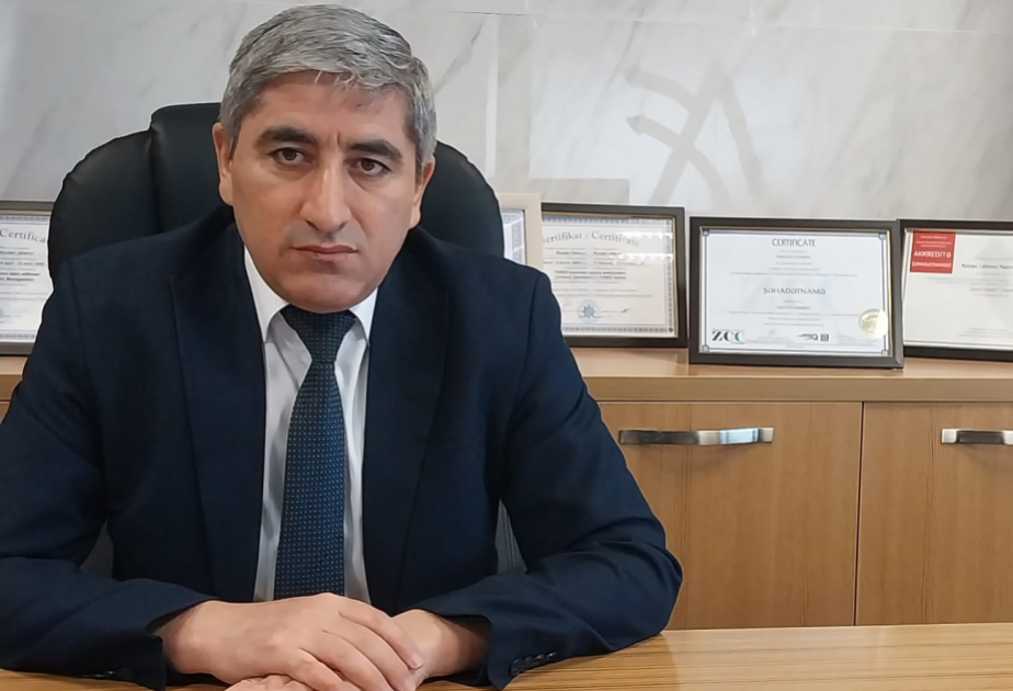 Ekspert: Enerji siyasəti ölkənin iqtisadi gücünü formalaşdırıb -  ŞƏRH