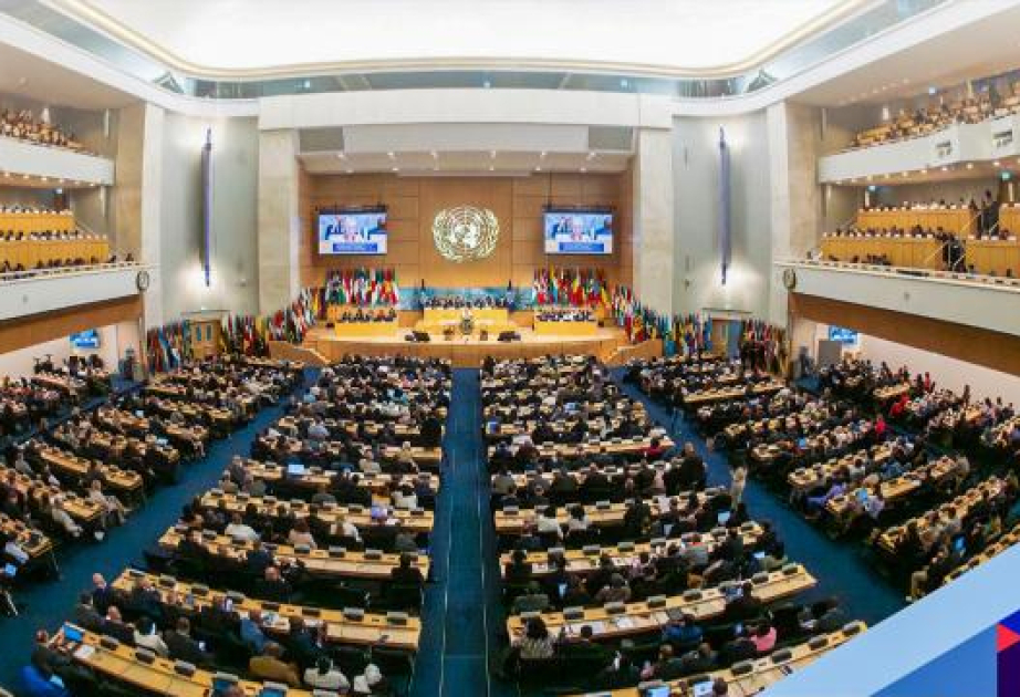 Azerbaijani minister attends 114th Session of International Labour Conference in Geneva