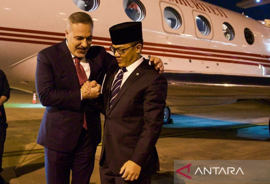 Indonesia, Turkiye seek stronger cooperation on Palestine peace