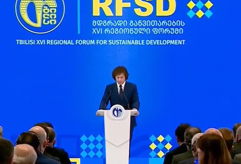 Ираклий Кобахидзе: Без долгосрочной стабильности и мира невозможно говорить о прогрессе и благополучии