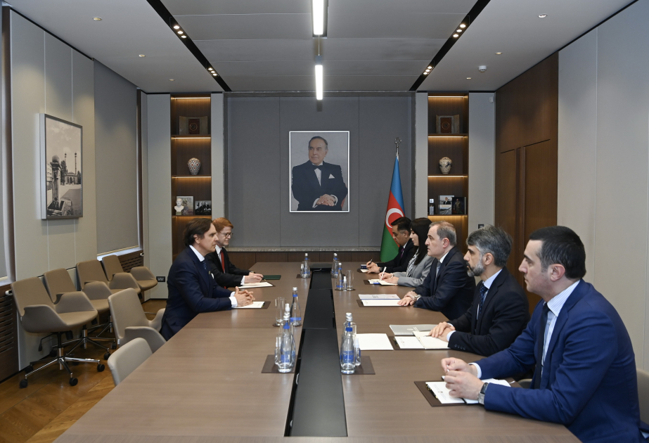 Глава МИД Азербайджана встретился с послом Бразилии