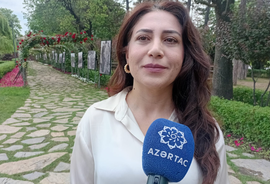 Турецкий эксперт: Значимость Анкары и Баку в глобальном транспорте будет лишь возрастать
