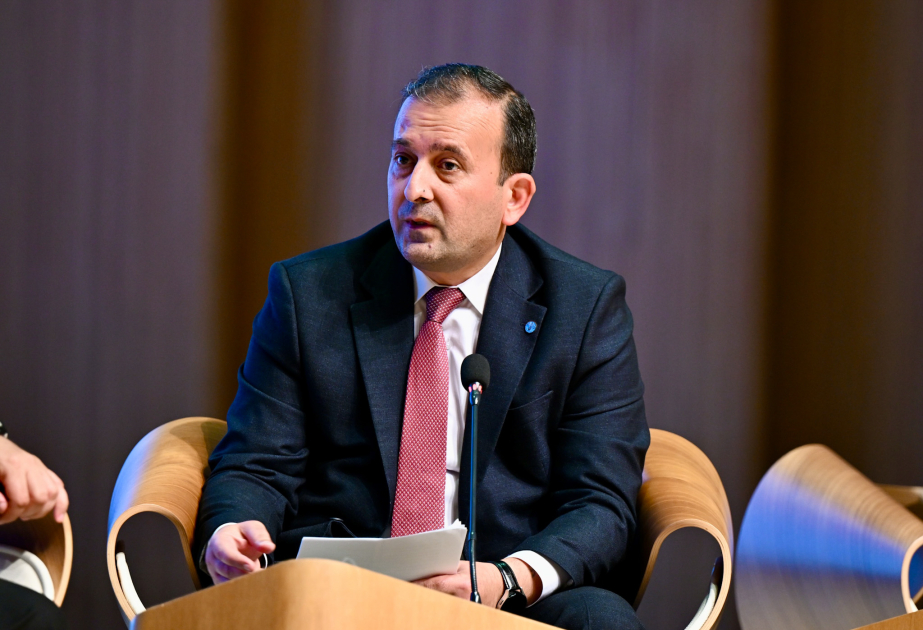 Bariz Mehdiyev: FAO dəyər zənciri boyunca inteqrasiya olunmuş həllər təqdim edir