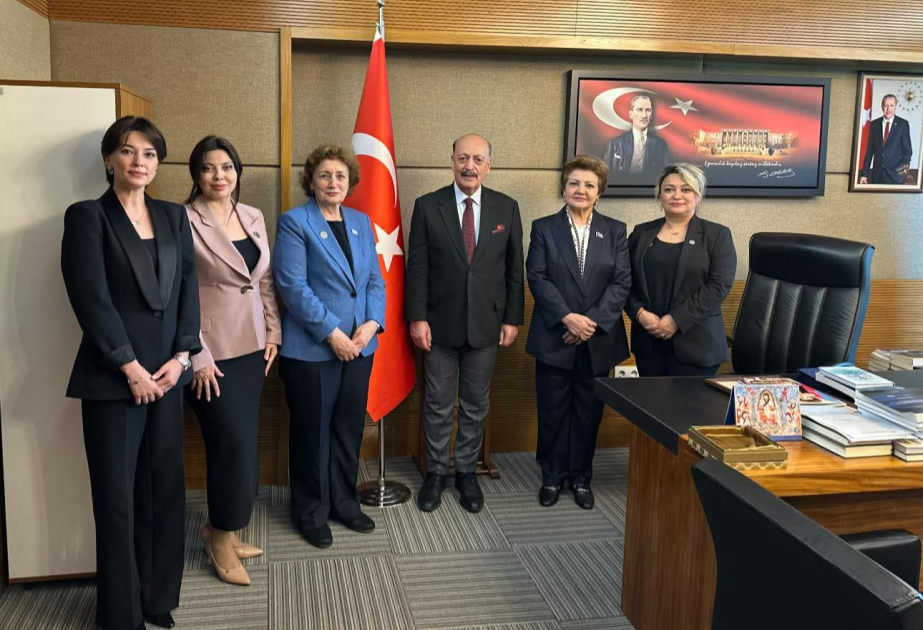 Qərbi Azərbaycan İcmasının Qadınlar Şurasının üzvləri TBMM-də olub