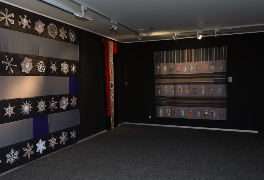 Solo exhibition Catharsis by Elchin Shamilli opens at Azerbaijan National Carpet Museum