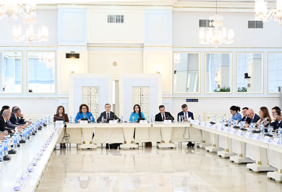 Milli Məclisdə ictimai dinləmə: Sosial şəbəkələrlə bağlı yeni qanun layihəsi müzakirə olunub
