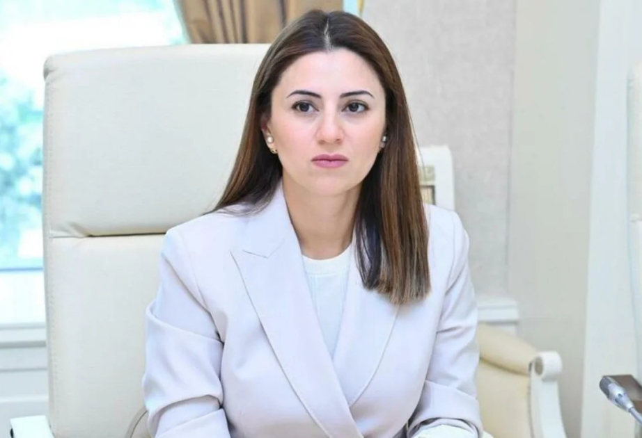 Deputat: Uşaqların internetdə müdafiəsi ilə bağlı dəyişikliklər cəmiyyətin sifarişidir