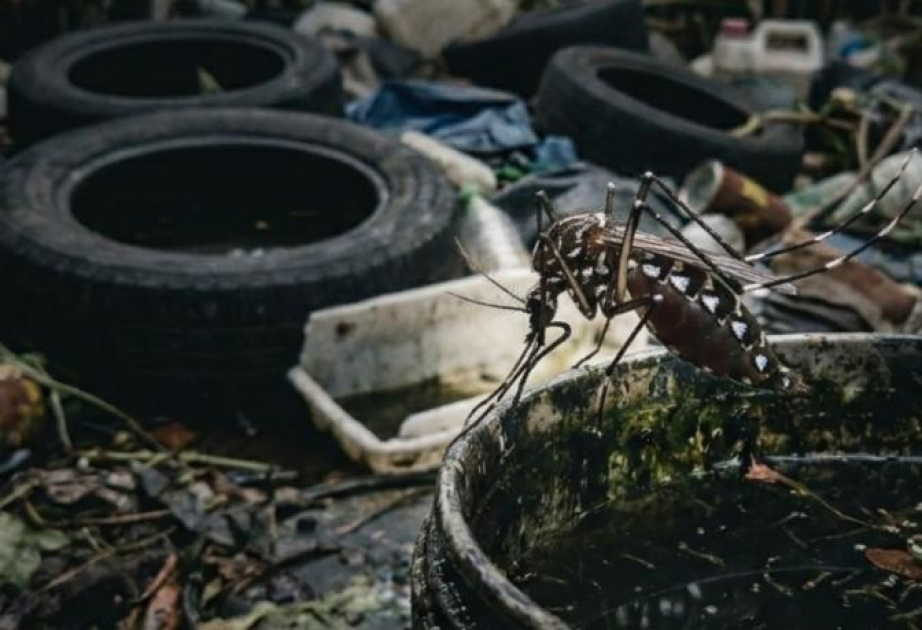 Sri Lanka inspects over 70,000 premises in nationwide dengue control drive