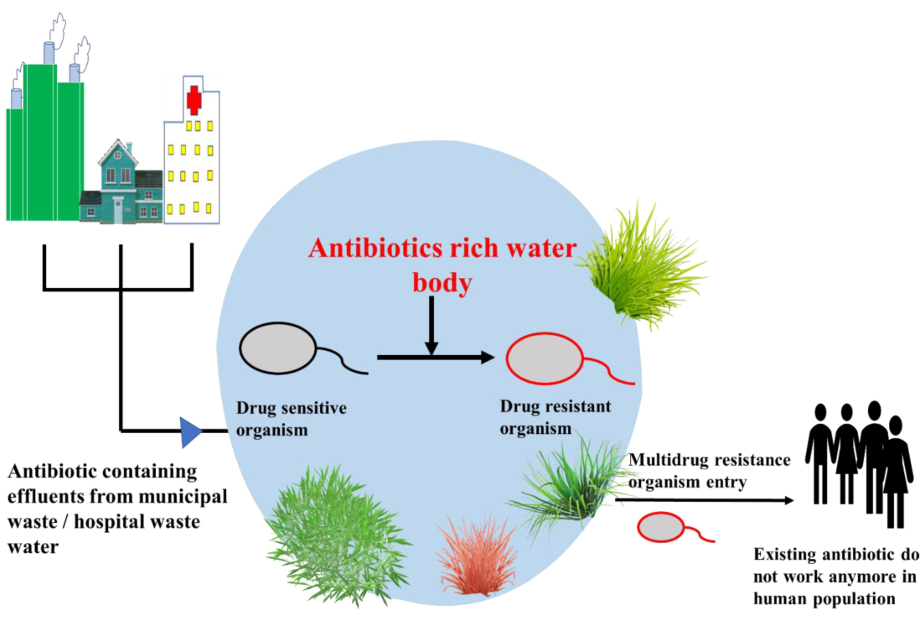 Antibiotic residues in wastewater found to fuel drug resistance: study