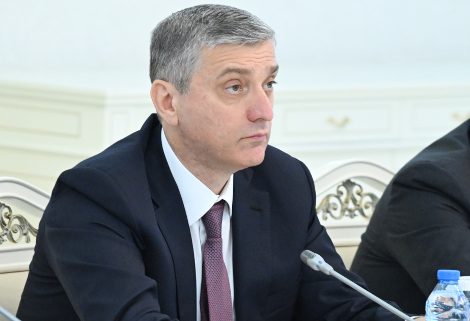 Vüqar Gülməmmədov: 2025-ci ilin dövlət büdcəsinin icrası prosesində ikili uçot halına rast gəlinməyib