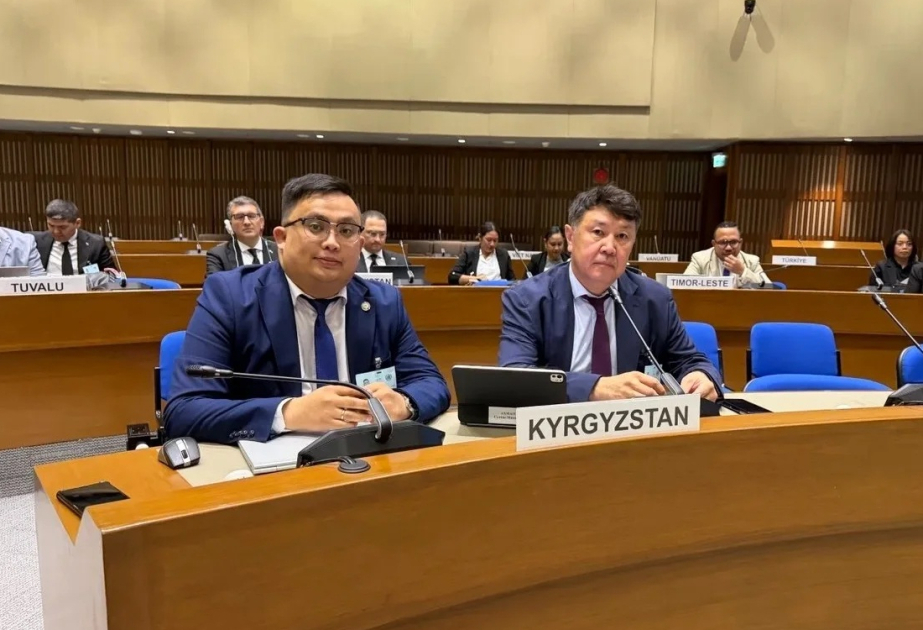 Kyrgyzstan chairs UN Paperless Trade Council