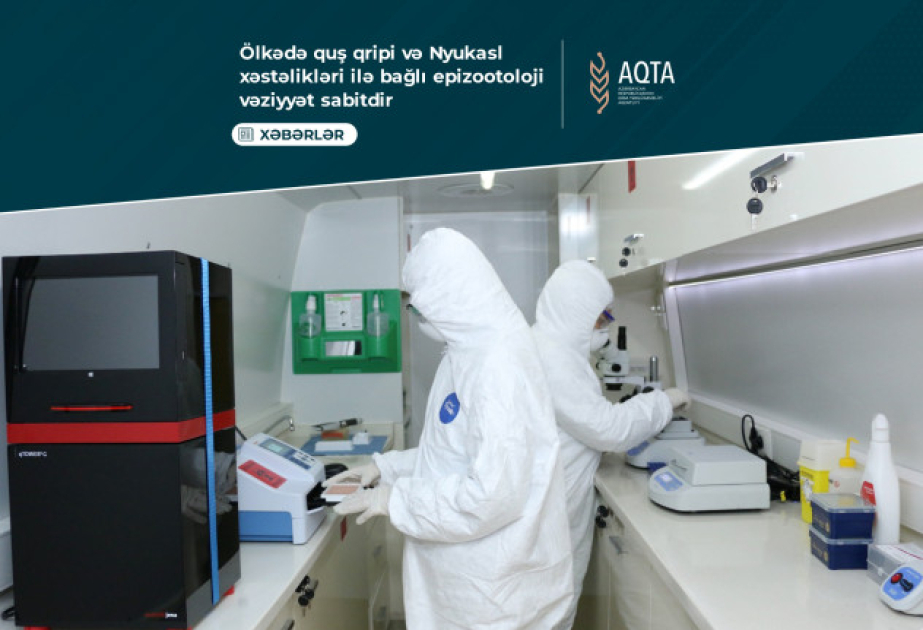 AQTA: Ölkədə quş qripi və nyukasl xəstəlikləri ilə bağlı epizootoloji vəziyyət sabitdir