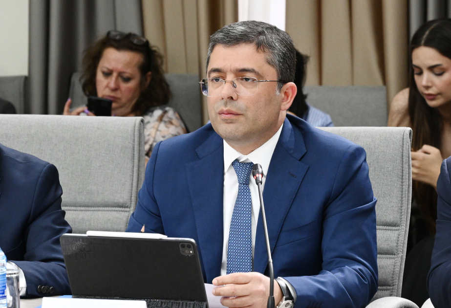 Əhməd İsmayılov: Erkən yaşlarda tənzimlənməyən sosial şəbəkə istifadəsi müxtəlif problemlərə səbəb olur