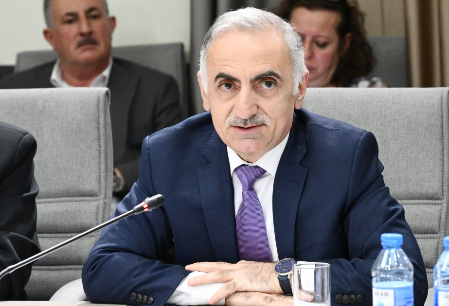Elmir Vəlizadə: Qanun layihəsinin əsas mahiyyəti uşaqların sosial şəbəkələrin zərərli təsirlərindən qorunmasıdır VİDEO
