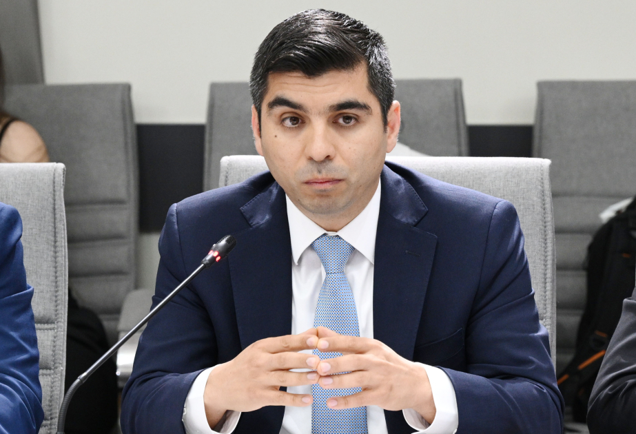 Nazir müavini: Bir çox valideyn uşağının sosial şəbəkədən istifadəsinə nəzarət edə bilmir VİDEO