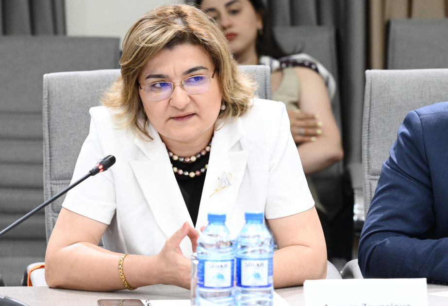 Bəzi sosial şəbəkələrdə uşaqların intihara, terrorizmə, kiberbullinqə məruz qalma ehtimalı daha çoxdur.
