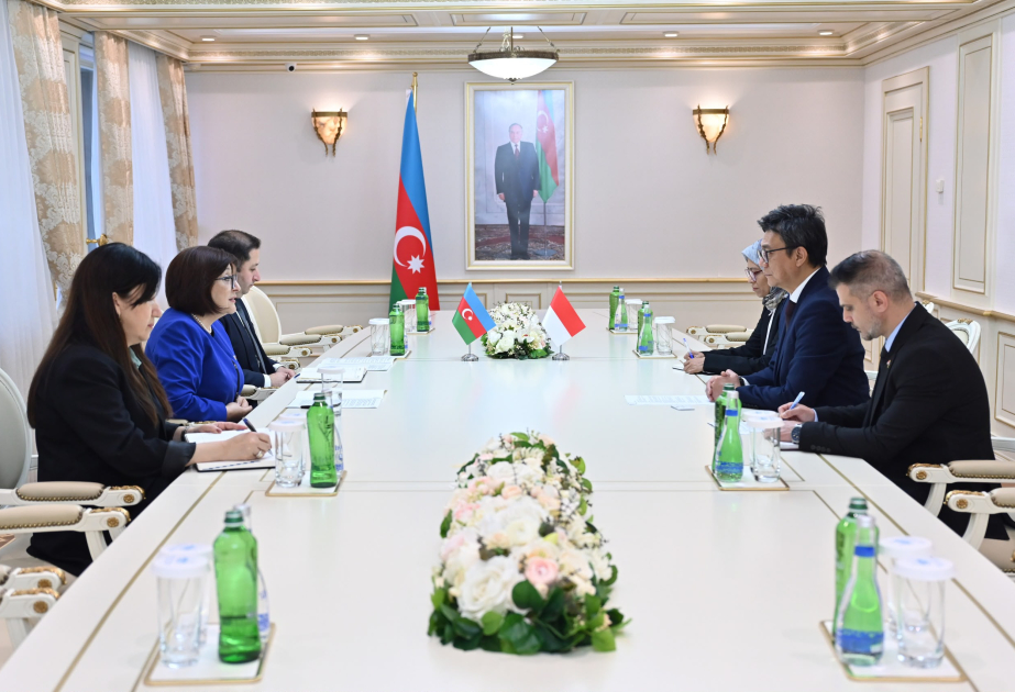 Sahibə Qafarova İndoneziyanın Azərbaycandakı yeni səfiri ilə görüşüb