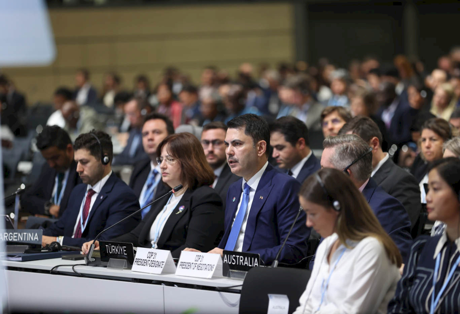 COP31 Sədrliyi 2035-ci ilədək qlobal elektrikləşmənin 35 faizə çatdırılmasını hədəfləyir