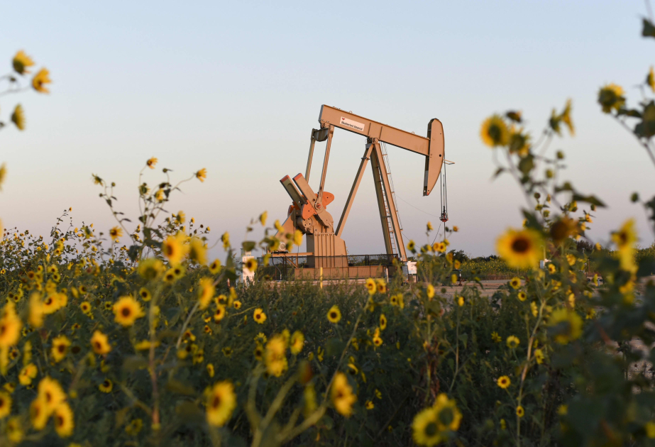 Oil prices rise in world markets