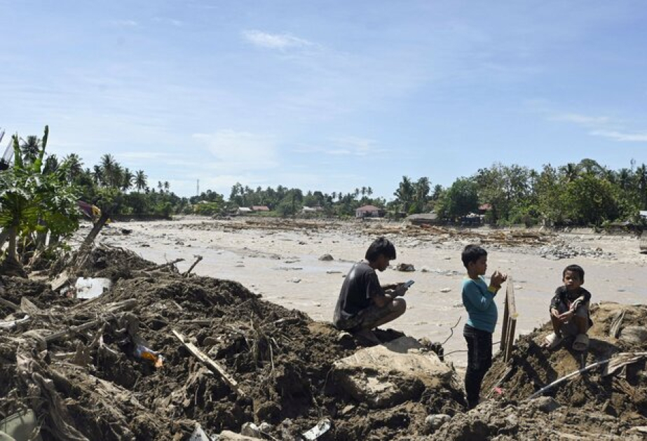 Deadly Indonesia floods wiped out at least 7% of rare orangutan population, report says