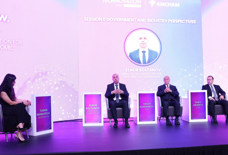 Azerbaijani companies can compete globally, says deputy minister