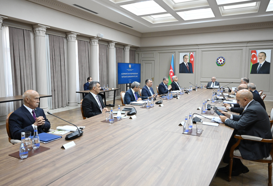 İqtisadi Şuranın iclasında Ələt Azad İqtisadi Zonasına dair tapşırıqlar verilib