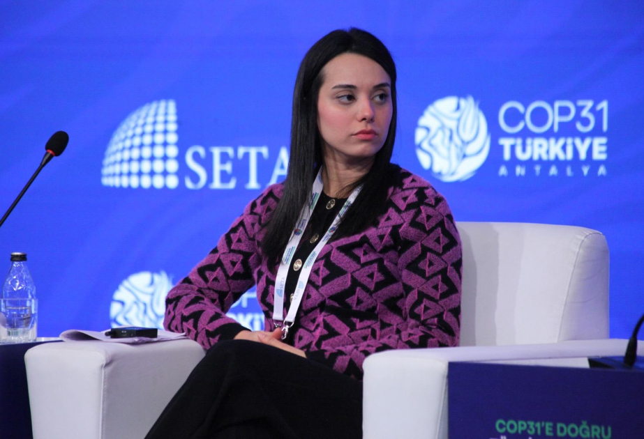 COP29-dan COP31-ə: Azərbaycan ilə Türkiyənin iqlim və yaşıl enerji sahəsində əməkdaşlığı