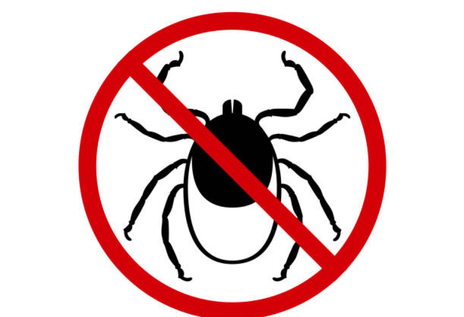 Japan researchers develop rapid test for deadly tick-borne virus