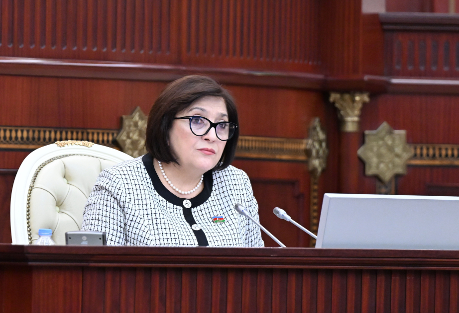 رئيسة المجلس الوطني: يستند مفهوم الدولة الذي وضعه الزعيم الوطني إلى المصالح الاستراتيجية طويلة الأمد للشعب