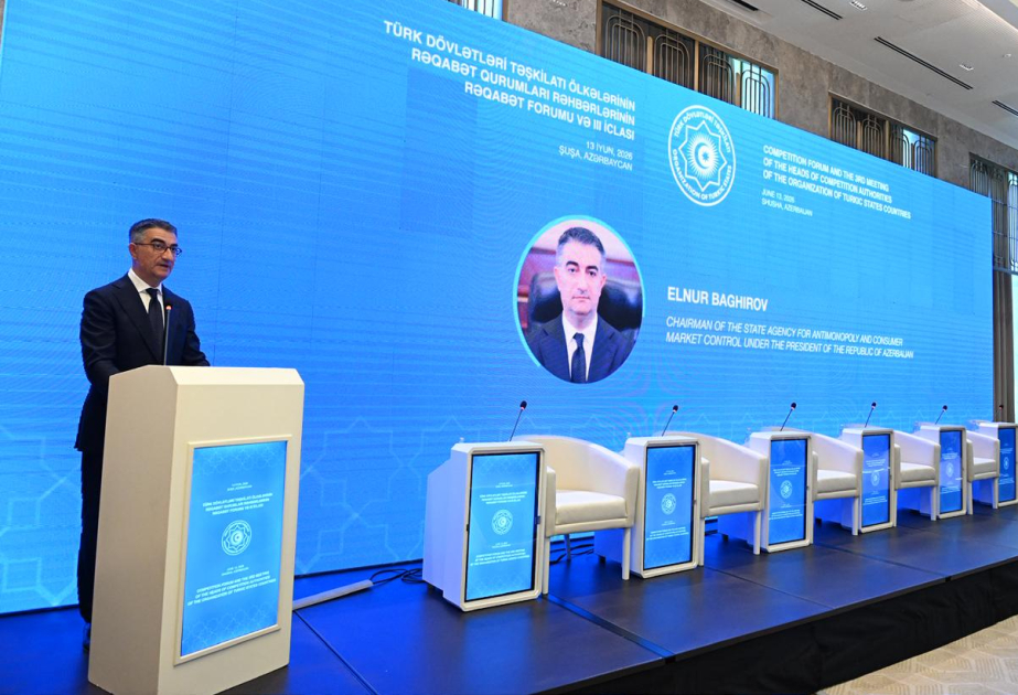 Elnur Bağırov: TDT-yə üzv ölkələrin əməkdaşlıq təşəbbüsləri Qarabağın və Şərqi Zəngəzurun dirçəlişinə töhfə verir