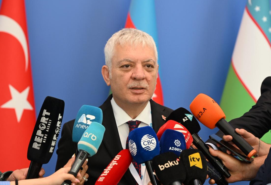 Birol Küle: Türk dövlətləri son illərdə iqtisadi inkişaf nümayiş etdirirlər