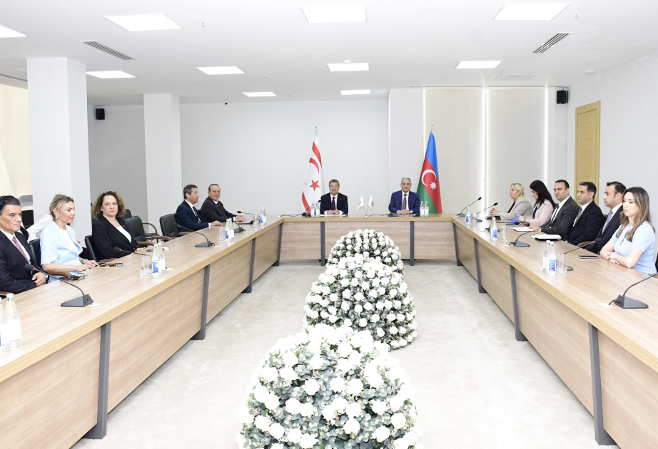 YAP Sədrinin müavini ilə Ulusal Birlik Partiyasının Sədri arasında görüş olub