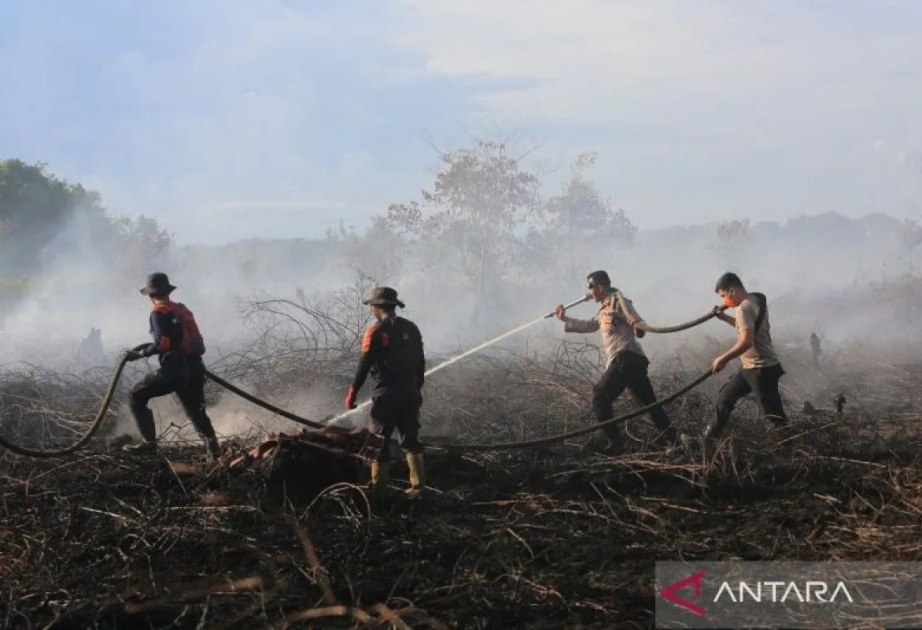Indonesia studies prescribed burning to curb wildfires