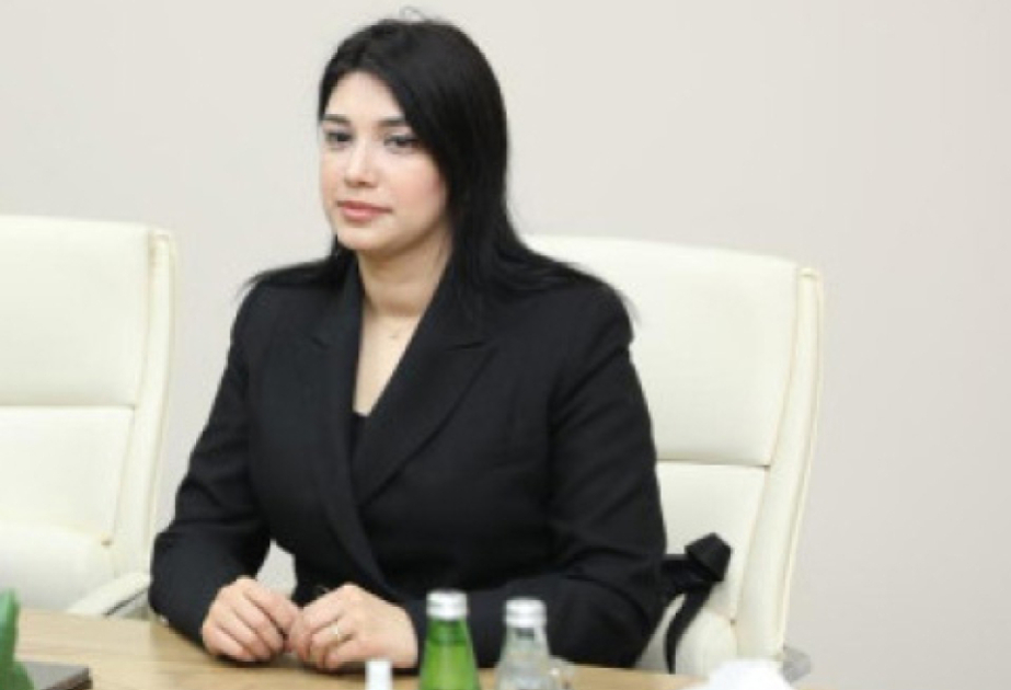 Qanunvericiliyin təkmilləşdirilməsi daha təhlükəsiz rəqəmsal mühitin formalaşmasına töhfə verə bilər – RƏY
