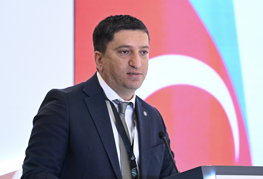 Nazir müşaviri: Dayanıqlı İnkişaf Məqsədlərinin yalnız 17 faizi üzrə hədəflərə nail olunması plan üzrə irəliləyir