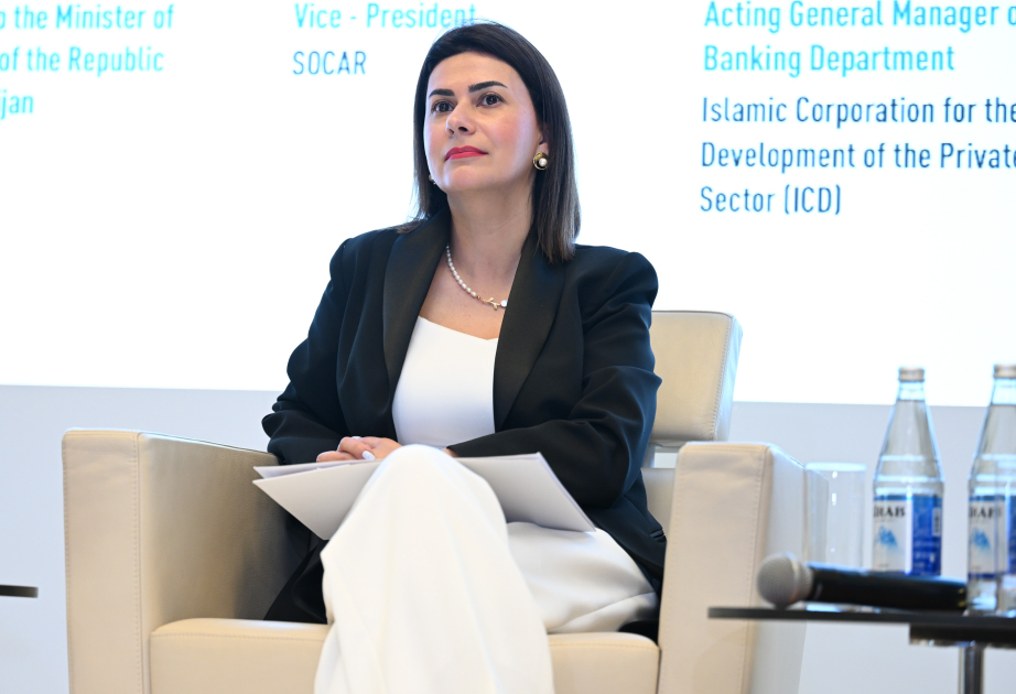 CECECO: Azərbaycan regional enerji əməkdaşlığının gücləndirilməsində aparıcı rol oynayır