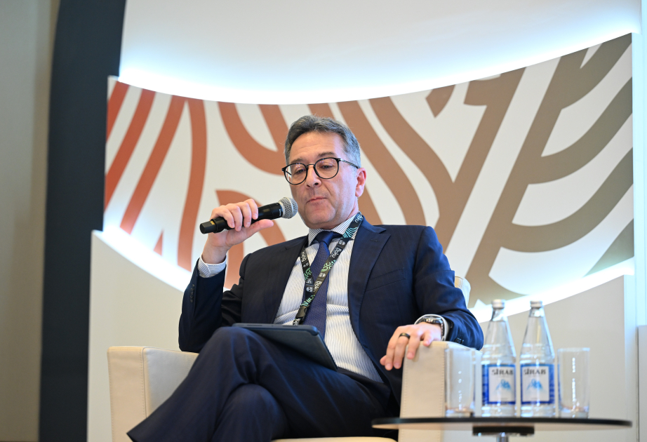 SOCAR-ın vitse-prezidenti: Regional enerji bazarlarının inteqrasiyası vacibdir
