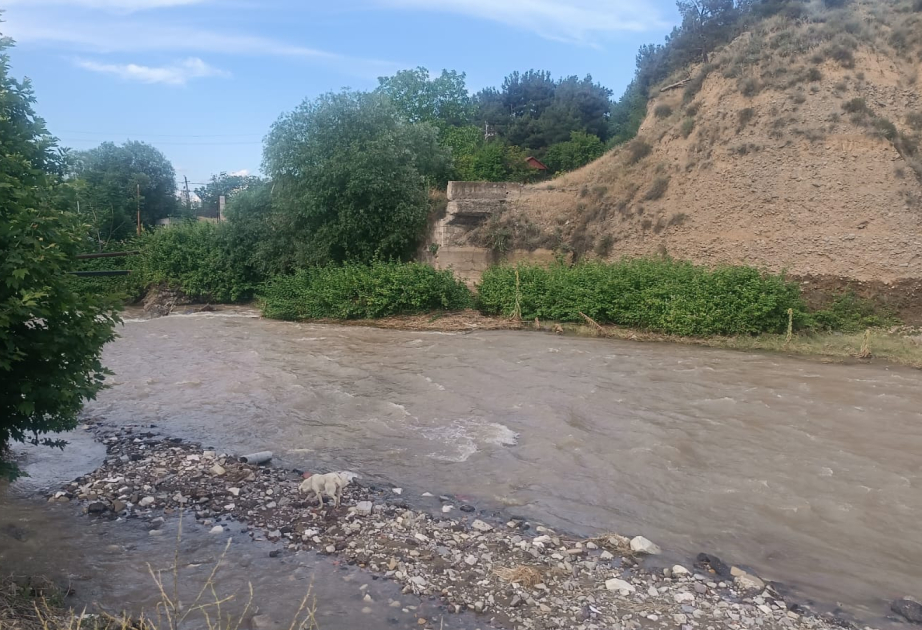 Tovuzda 22 yaşlı oğlan çayda batıb